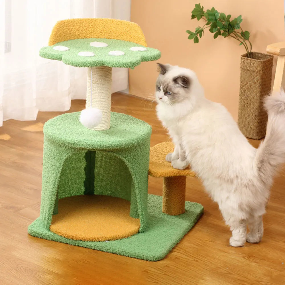 Pokemon style Kitten Playhouse & sleeping area