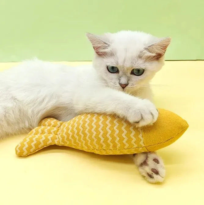 Little Fish Cat &Kitten Toy