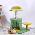 Pokemon style Kitten Playhouse & sleeping area