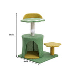 Pokemon style Kitten Playhouse & sleeping area