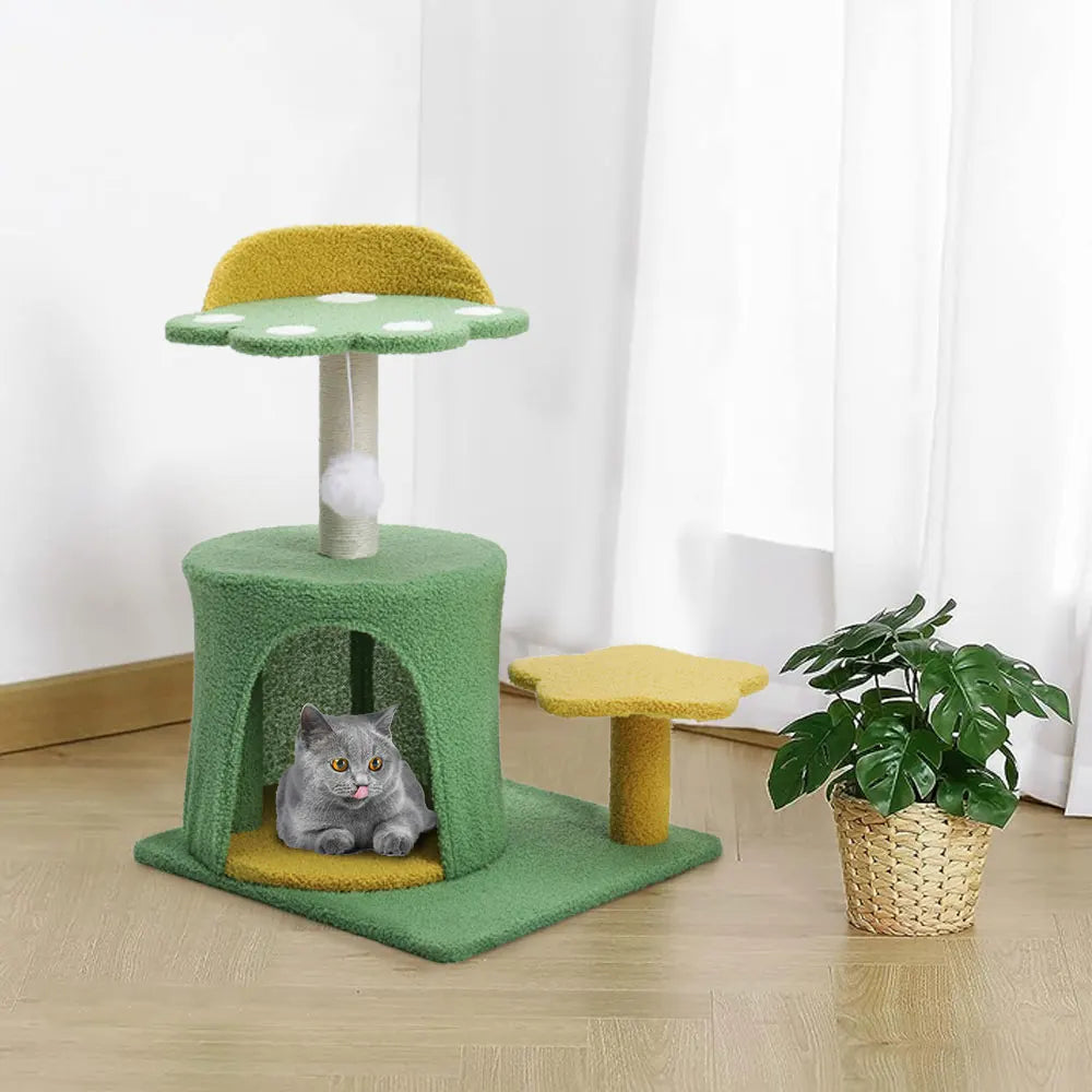 Pokemon style Kitten Playhouse & sleeping area