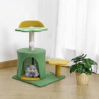 Pokemon style Kitten Playhouse & sleeping area