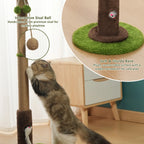 Platyfull purr Tree for Kitten Adult Cats (56cm/93cm)