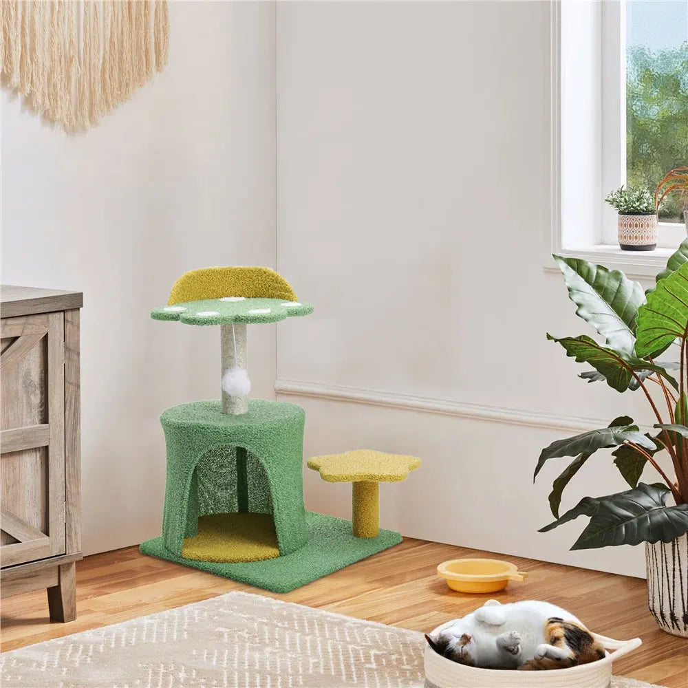 Pokemon style Kitten Playhouse & sleeping area