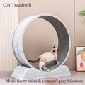 Cat Treadmill