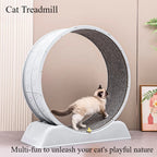 Cat Treadmill