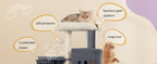 98 cm Multi-Level Cat Tree with 2 Cats caves