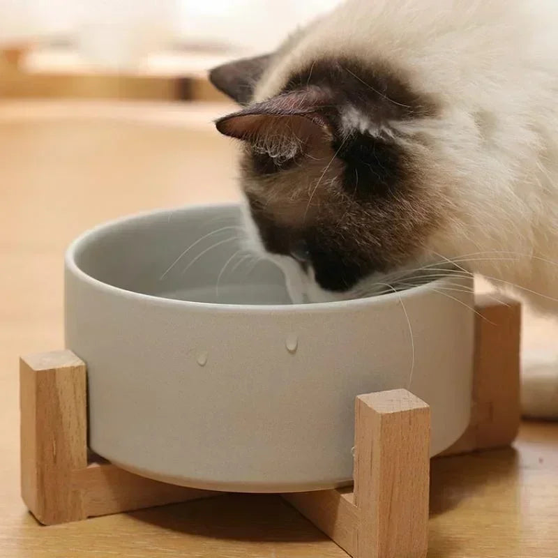 minimimalist cat bowl