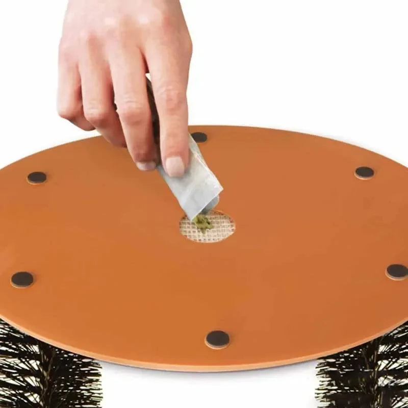 Arch Cat Toy