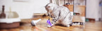 DOEL interactive Cat teaser toy