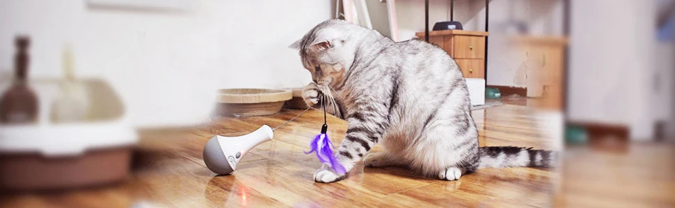 DOEL interactive Cat teaser toy