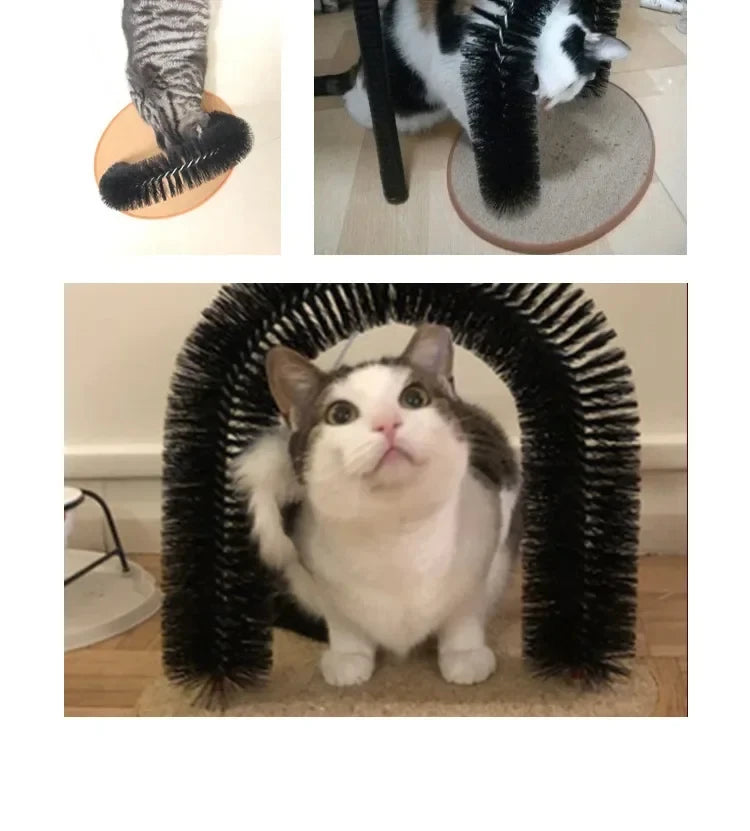 Arch Cat Toy