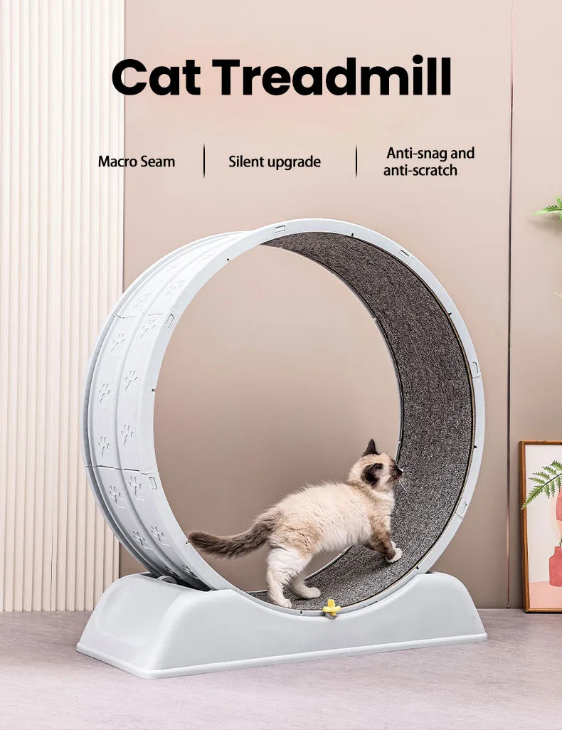 Cat Treadmill