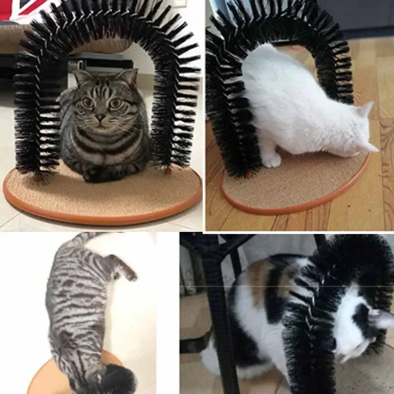 Arch Cat Toy