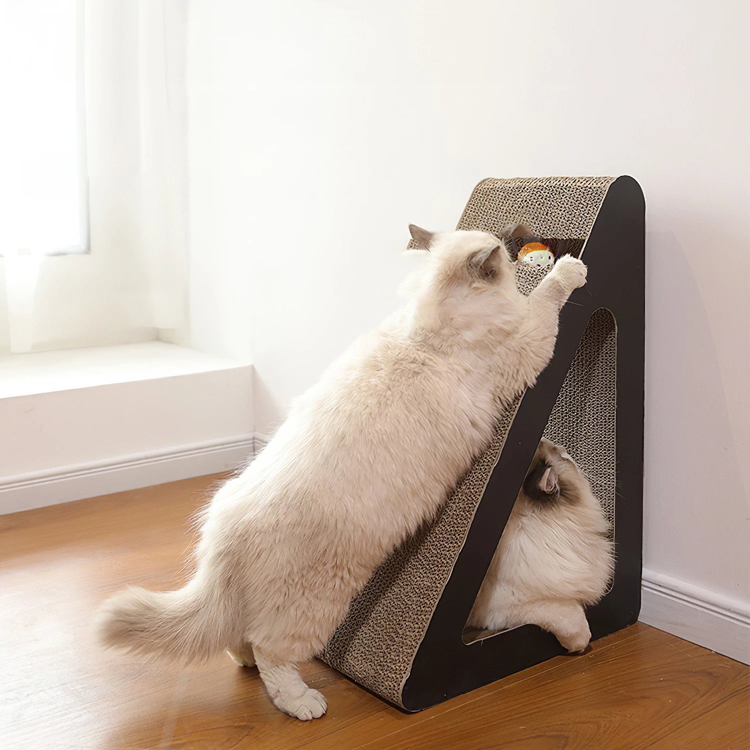 Voltsify Cat Scratching board with tunneland toy ball Scratcher