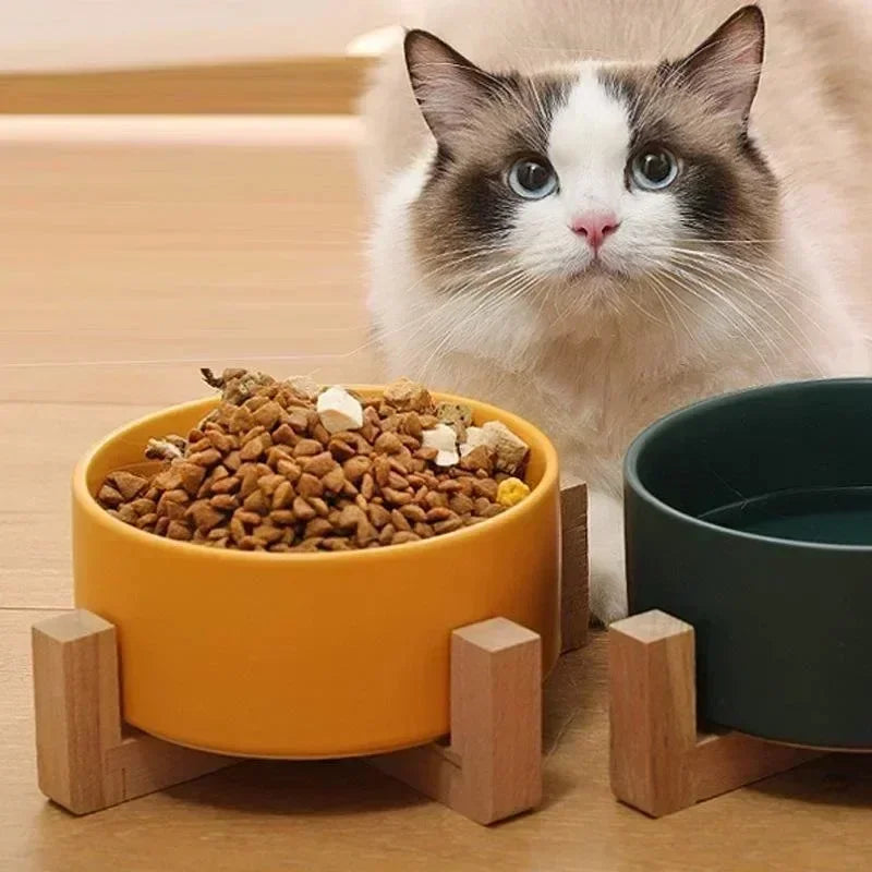 minimimalist cat bowl