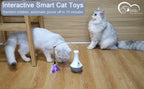 DOEL interactive Cat teaser toy