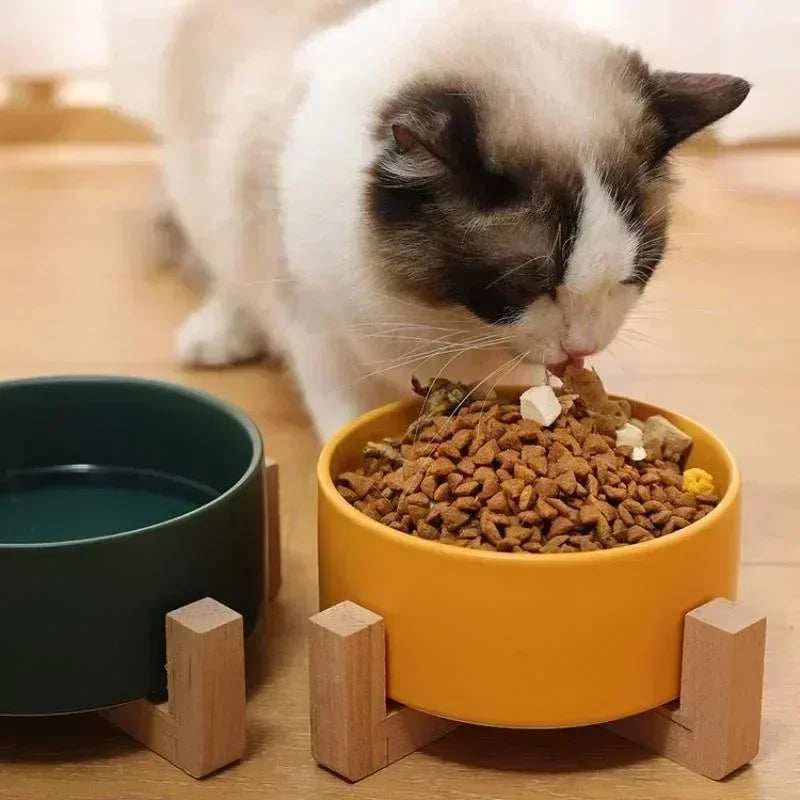 minimimalist cat bowl